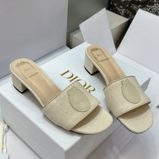 Christian Dior Slippers